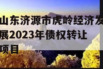 山东济源市虎岭经济发展2023年债权转让项目