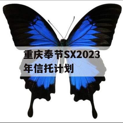 重庆奉节SX2023年信托计划