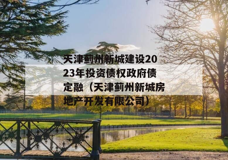 天津蓟州新城建设2023年投资债权政府债定融（天津蓟州新城房地产开发有限公司）