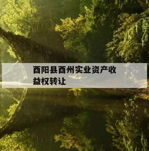 酉阳县酉州实业资产收益权转让