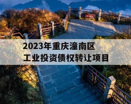 2023年重庆潼南区工业投资债权转让项目