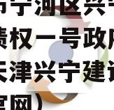 天津市宁河区兴宁建设投资债权一号政府债定融（天津兴宁建设投资集团官网）