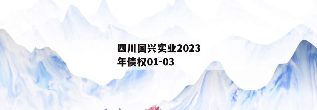 四川国兴实业2023年债权01-03