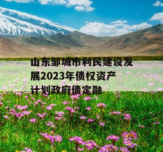 山东邹城市利民建设发展2023年债权资产计划政府债定融