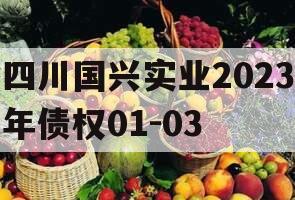 四川国兴实业2023年债权01-03