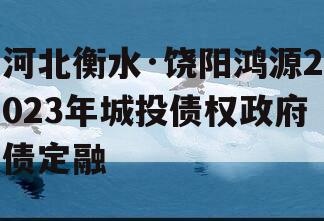 河北衡水·饶阳鸿源2023年城投债权政府债定融