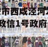 西安市西咸泾河2023年政信1号政府债定融