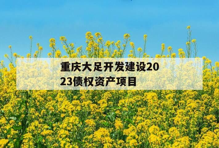 重庆大足开发建设2023债权资产项目