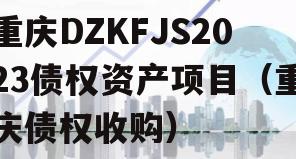 重庆DZKFJS2023债权资产项目（重庆债权收购）