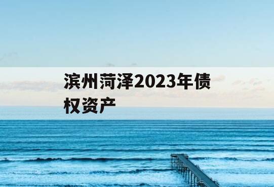 滨州菏泽2023年债权资产