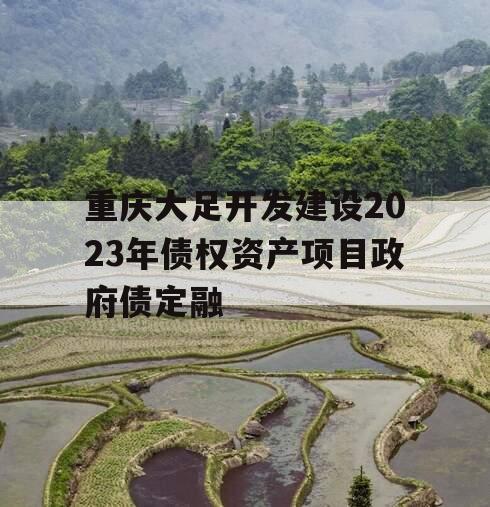 重庆大足开发建设2023年债权资产项目政府债定融