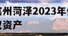 滨州菏泽2023年债权资产