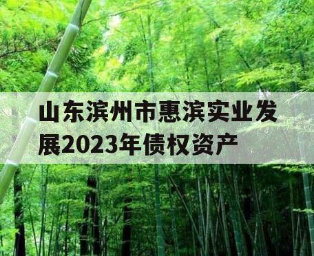 山东滨州市惠滨实业发展2023年债权资产