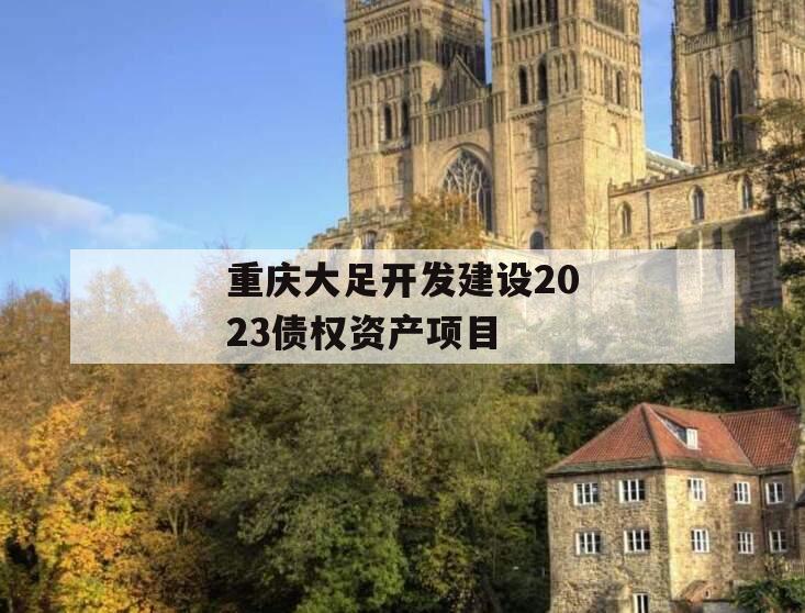 重庆大足开发建设2023债权资产项目