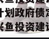 山东兴鱼投资建设定向融资计划政府债定融（山东兴鱼投资建设有限公司）