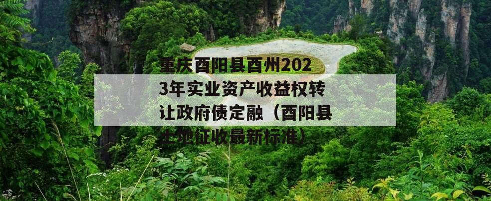 重庆酉阳县酉州2023年实业资产收益权转让政府债定融（酉阳县土地征收最新标准）