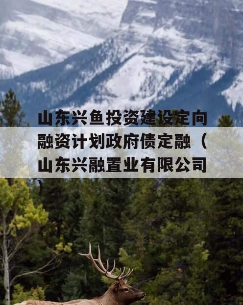 山东兴鱼投资建设定向融资计划政府债定融（山东兴融置业有限公司）