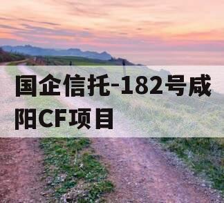 国企信托-182号咸阳CF项目