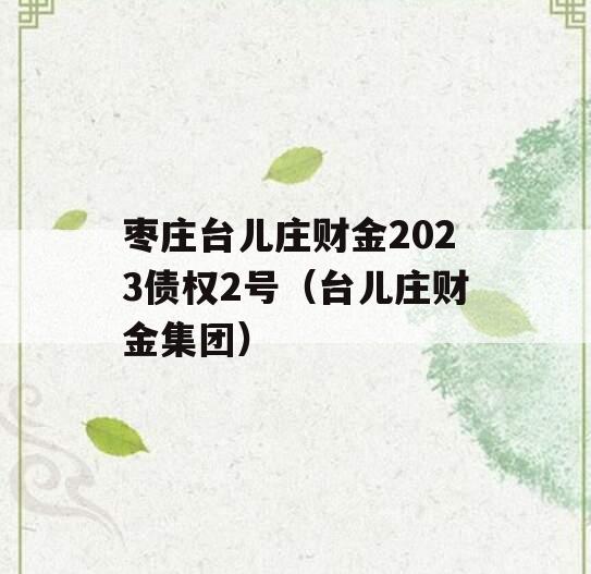 枣庄台儿庄财金2023债权2号（台儿庄财金集团）