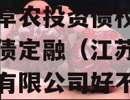 江苏阜农投资债权资产政府债定融（江苏阜农投资有限公司好不好）