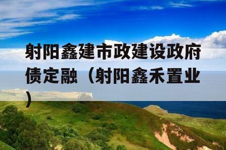 射阳鑫建市政建设政府债定融（射阳鑫禾置业）