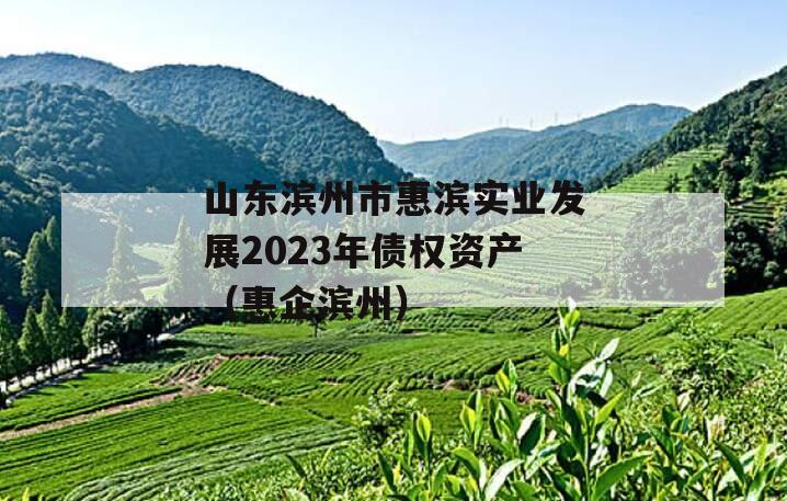 山东滨州市惠滨实业发展2023年债权资产（惠企滨州）