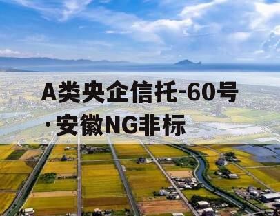 A类央企信托-60号·安徽NG非标