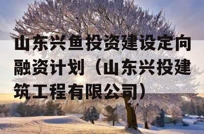 山东兴鱼投资建设定向融资计划（山东兴投建筑工程有限公司）