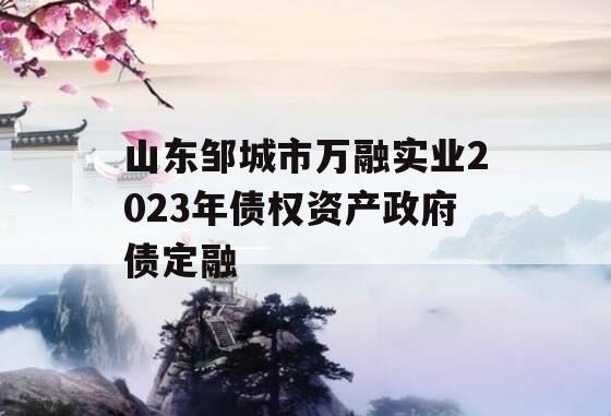 山东邹城市万融实业2023年债权资产政府债定融