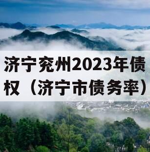 济宁兖州2023年债权（济宁市债务率）