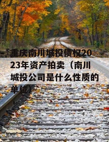 重庆南川城投债权2023年资产拍卖（南川城投公司是什么性质的单位）