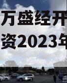 重庆市万盛经开区城市开发投资2023年债权资产