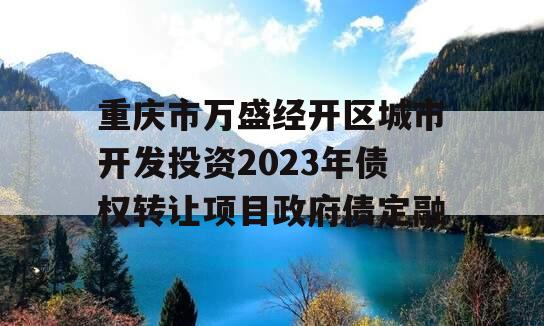 重庆市万盛经开区城市开发投资2023年债权转让项目政府债定融