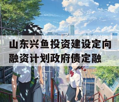 山东兴鱼投资建设定向融资计划政府债定融