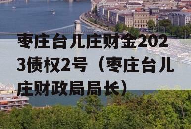 枣庄台儿庄财金2023债权2号（枣庄台儿庄财政局局长）