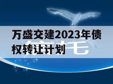 万盛交建2023年债权转让计划