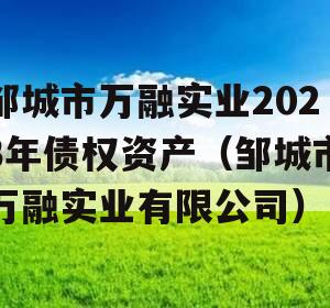 邹城市万融实业2023年债权资产（邹城市万融实业有限公司）