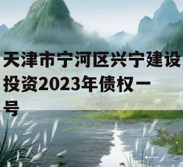 天津市宁河区兴宁建设投资2023年债权一号