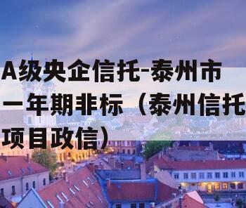 A级央企信托-泰州市一年期非标（泰州信托项目政信）