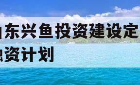 山东兴鱼投资建设定向融资计划