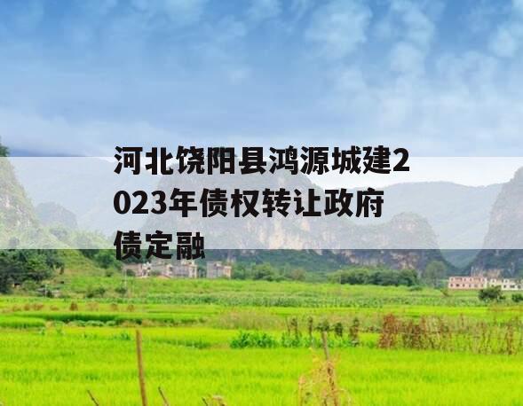 河北饶阳县鸿源城建2023年债权转让政府债定融