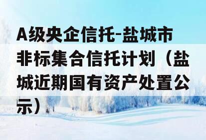 A级央企信托-盐城市非标集合信托计划（盐城近期国有资产处置公示）