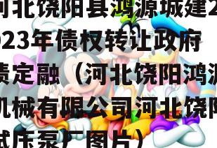 河北饶阳县鸿源城建2023年债权转让政府债定融（河北饶阳鸿源机械有限公司河北饶阳试压泵厂图片）