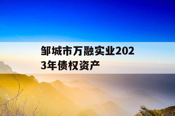 邹城市万融实业2023年债权资产