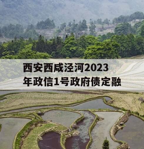 西安西咸泾河2023年政信1号政府债定融