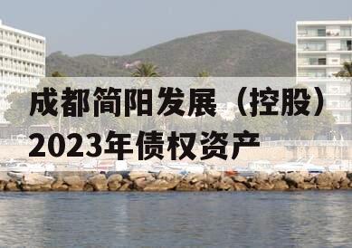 成都简阳发展（控股）2023年债权资产