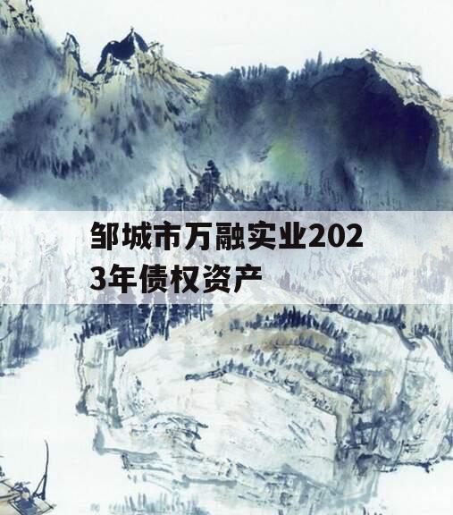 邹城市万融实业2023年债权资产