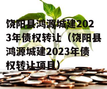 饶阳县鸿源城建2023年债权转让（饶阳县鸿源城建2023年债权转让项目）