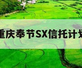 重庆奉节SX信托计划