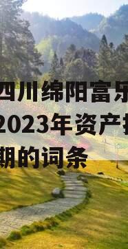 包含四川绵阳富乐投资特定2023年资产拍卖一期的词条